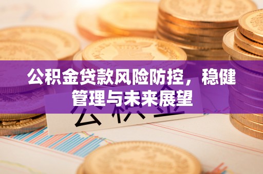 西平公积金贷款风险防控，稳健管理与未来展望