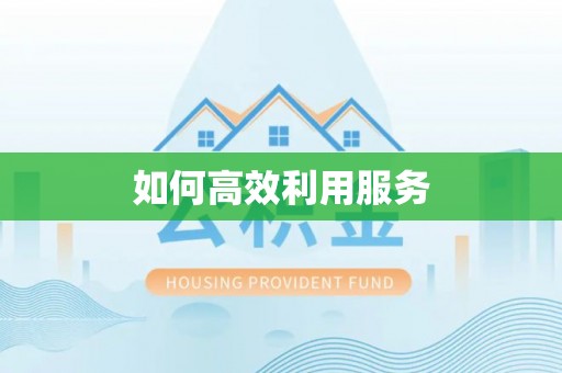 西平如何高效利用服务